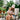 Woman reading to a child outdoors in a garden setting