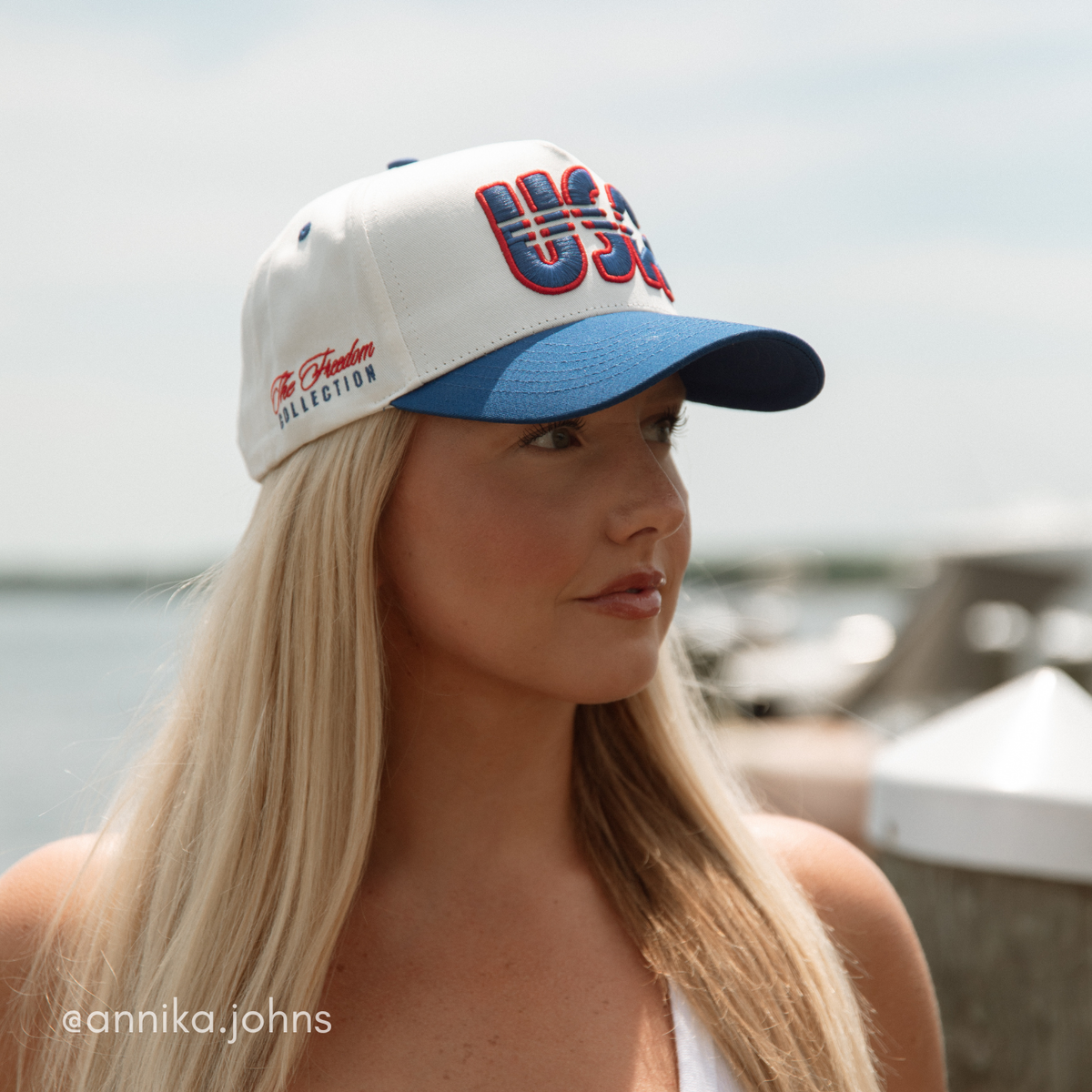 AMERICAN ANNIVERSARY