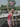 All American Red Tanktop